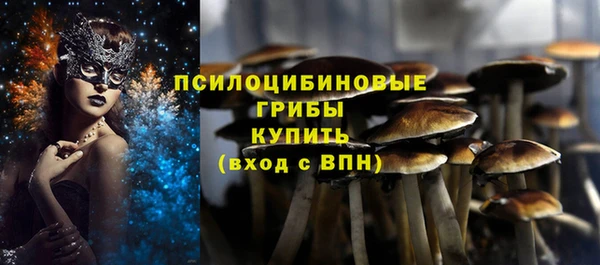мдма Коряжма