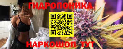 спиды Гагарин