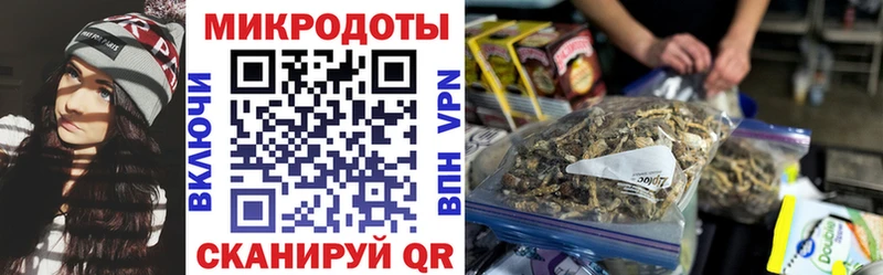 Галлюциногенные грибы мухоморы  Каспийск 