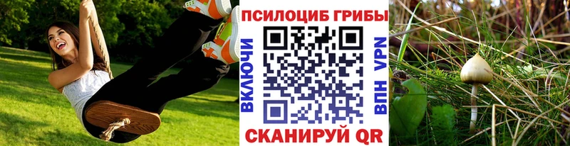 Псилоцибиновые грибы прущие грибы Каспийск