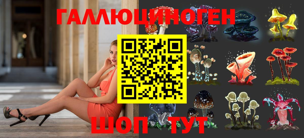 Псилоцибиновые грибы GOLDEN TEACHER Каспийск